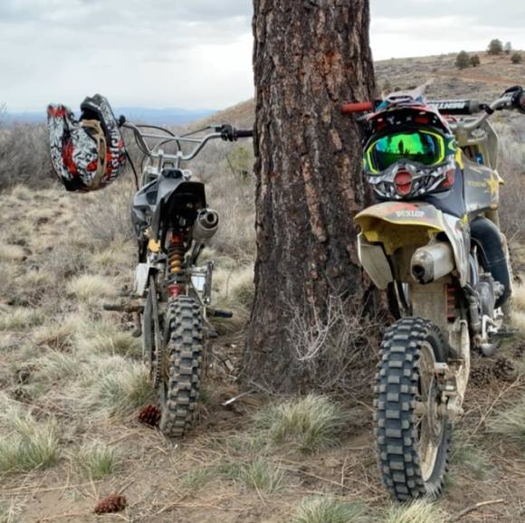 Meet your Posher, Cooper - Picture 1 of 1